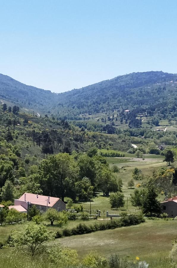 Turismo Rural Macieira Brava Guarda Exterior foto